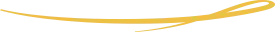 decorative line